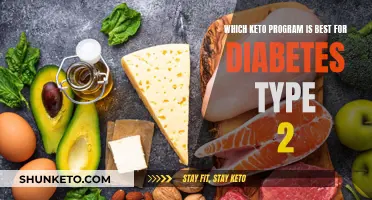 Keto Programs: Best Options for Type 2 Diabetics