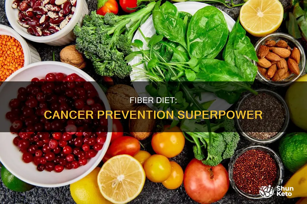 which kind of diet helps prevent cancer fiber