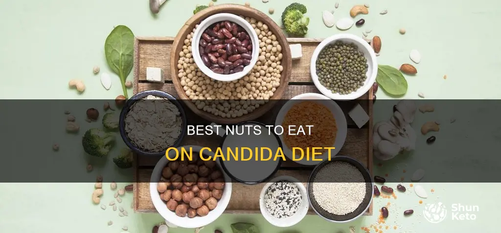 which nuts are allowed on the candida diet