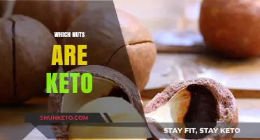 Keto-Friendly Nuts: Top Choices for a Low-Carb, High-Fat Diet