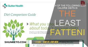 Dieting Without Gaining: 3,200-Calorie Plans Compared