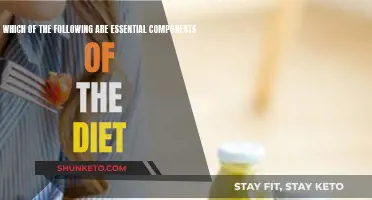 Key Diet Components: What You Need to Know