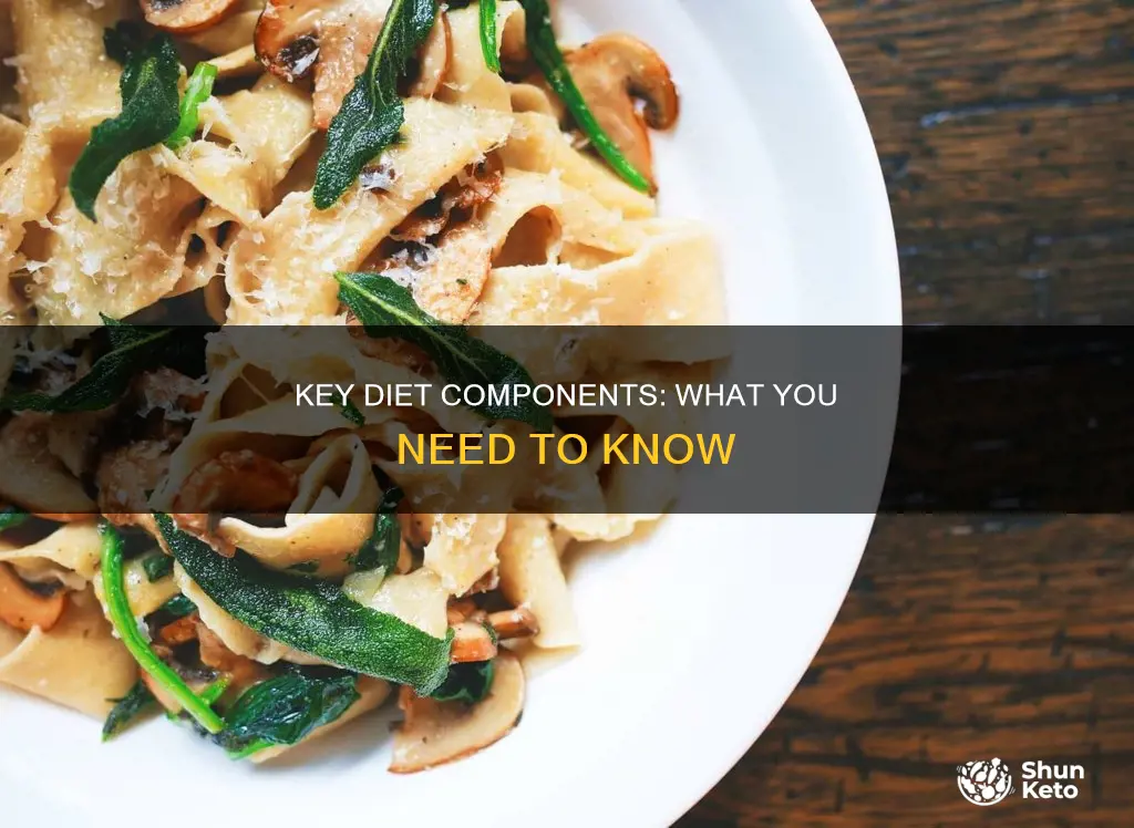 which of the following are essential components of the diet