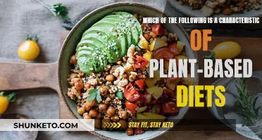 Plant-Based Diets: The Key Characteristics