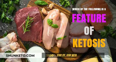 Ketosis Unveiled: Key Features and Benefits Explained Simply
