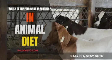 What Roughage Should You Feed Your Pet?