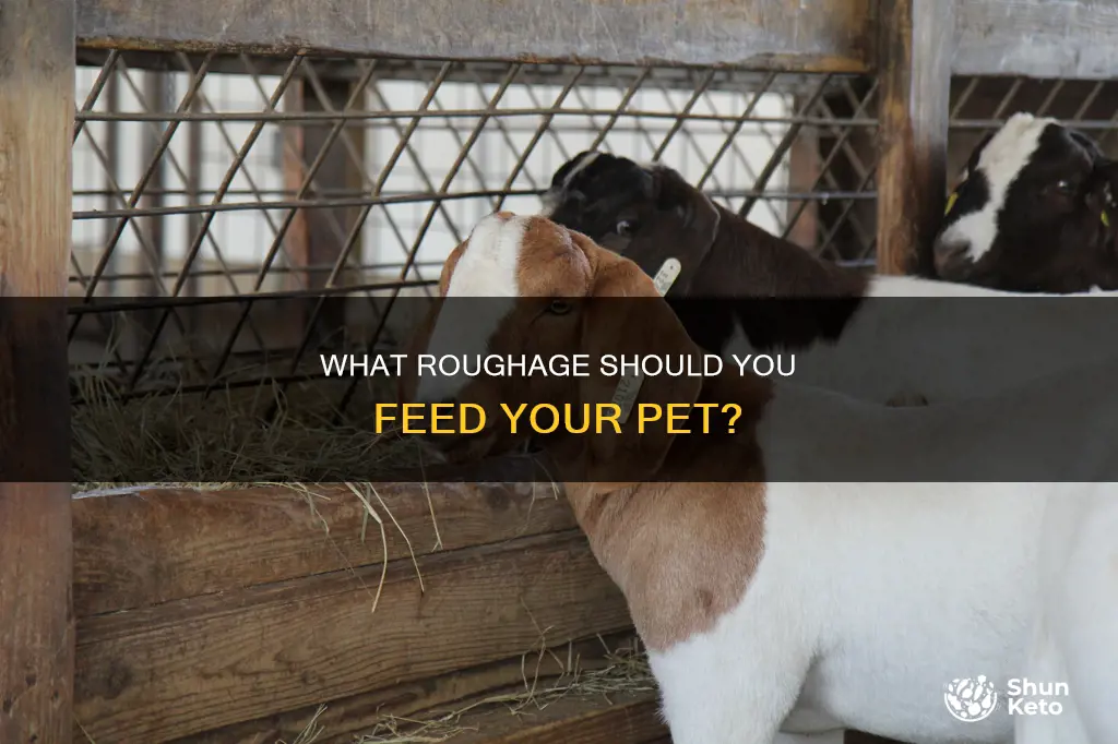 which of the following is roughage in animal diet