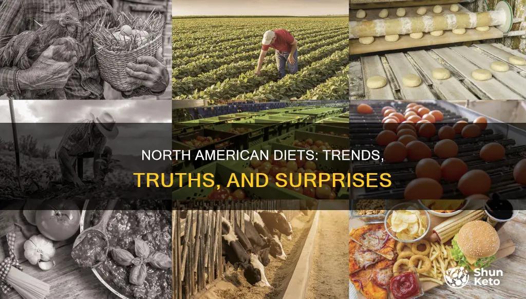 which of the following is true about north american diets