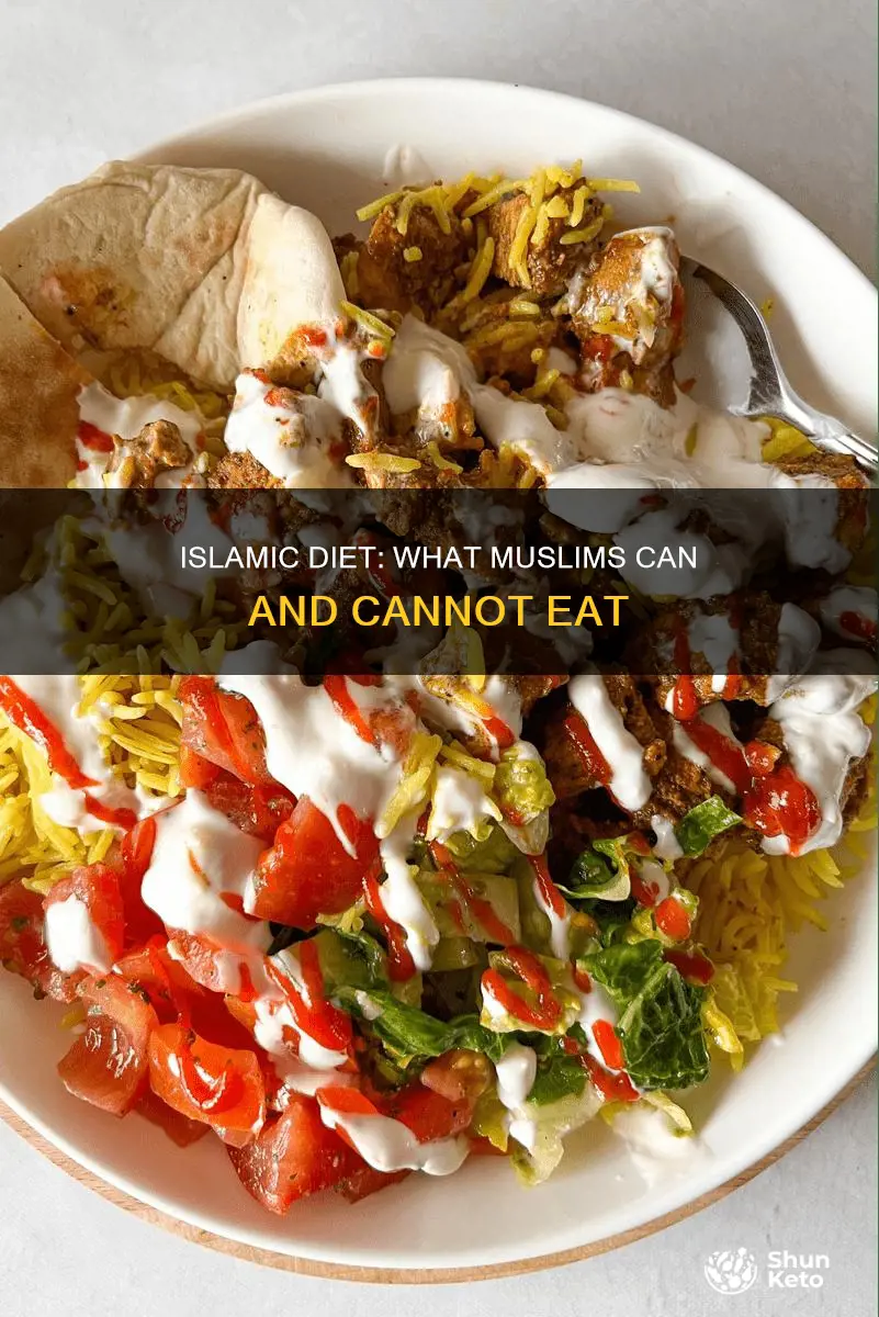 which of the following is true of an islamic diet
