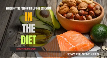 The Essential Lipids: What to Eat and Why