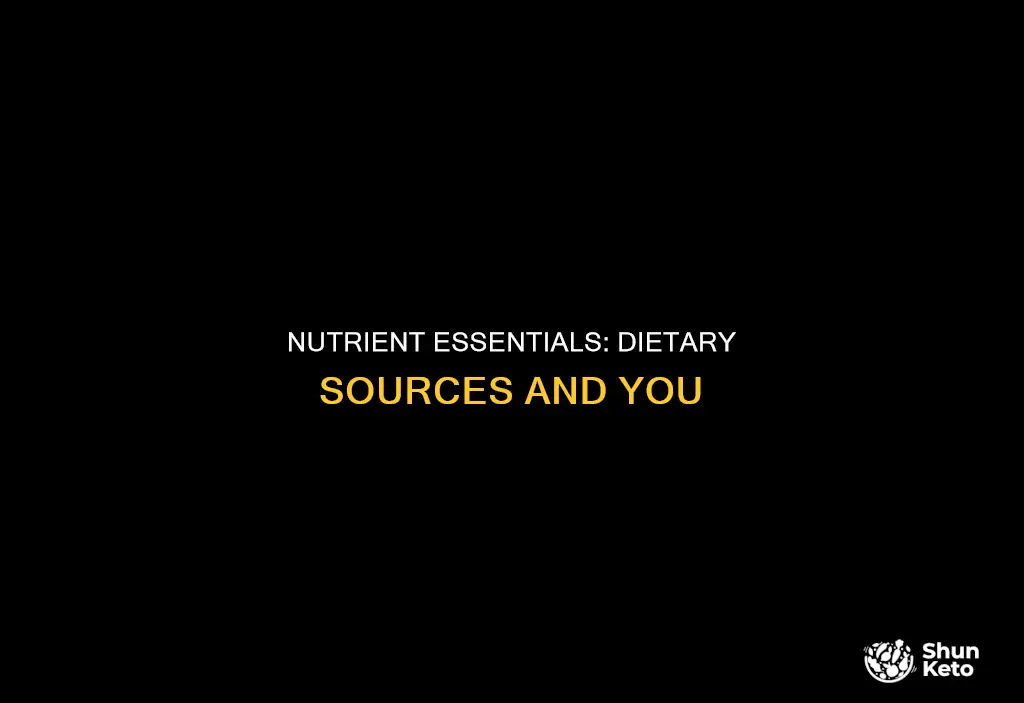 which of the following nutrient categories supplies in the diet