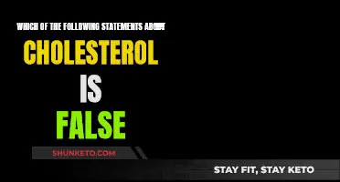 Cholesterol Facts: Debunking a Common Health Myth