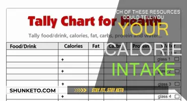 Calorie Counting: What Tools to Use