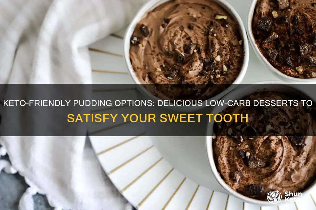 which pudding can you buy for keto