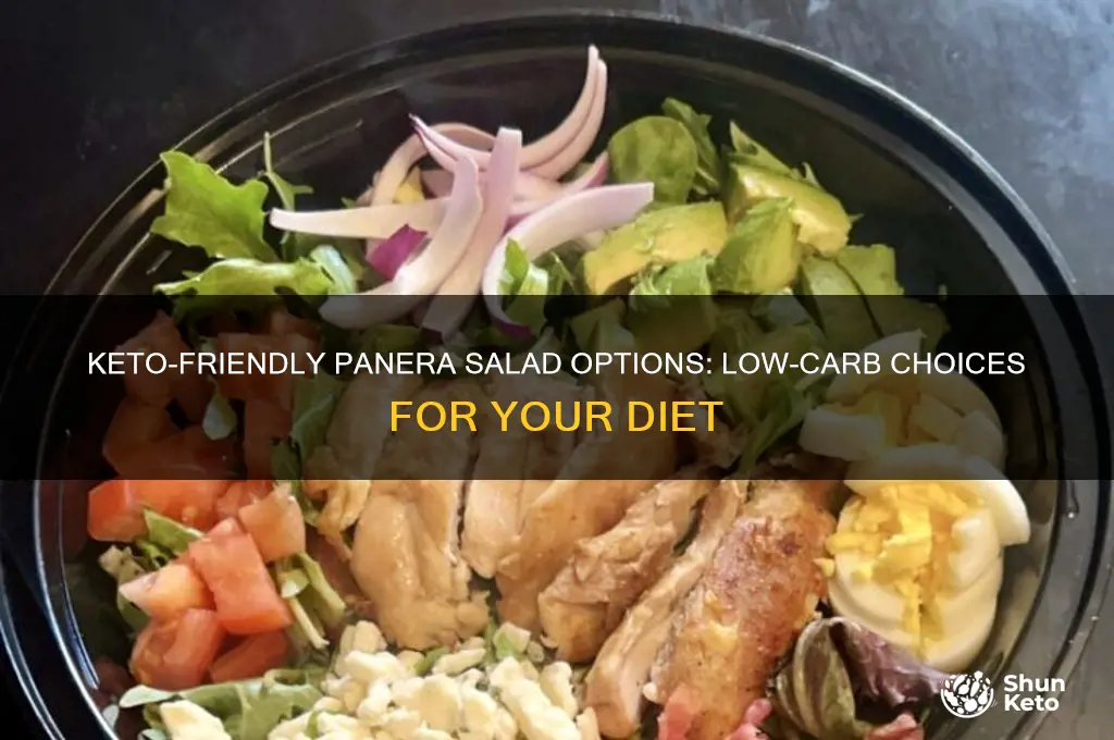 which salad at panara for a keto diet