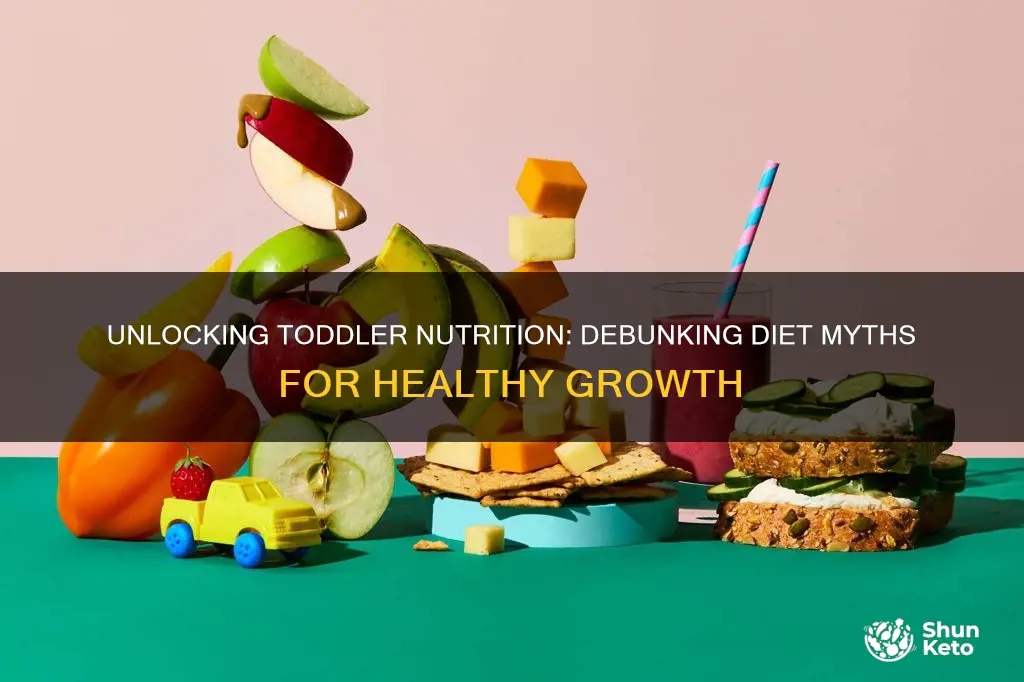 which statement is true about the diet plan for toddlers