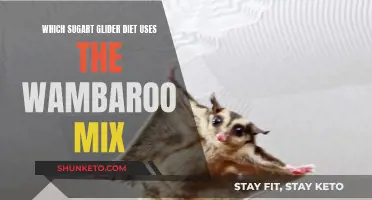 Sugar Glider Diet: Wambaroo Mix Benefits and Recipes