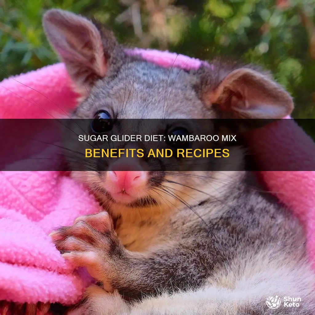 which sugart glider diet uses the wambaroo mix