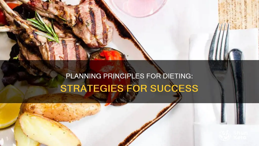 which term is a diet planning principle