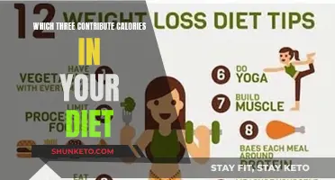 Calories: Understanding the Three Main Dietary Contributors