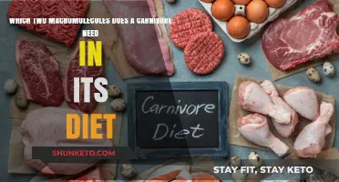 Carnivore Diet: Essential Macromolecules for Carnivores