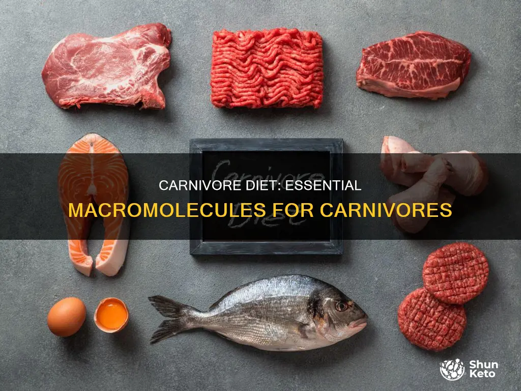 which two macromolecules does a carnivore need in its diet