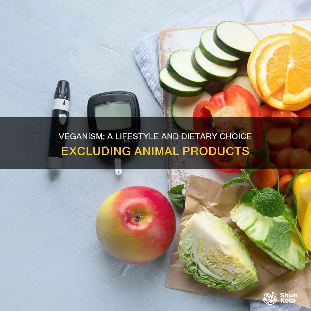 which type of diet excludes all animal products