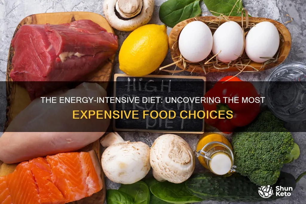 which type of diet requires the most energy to produce