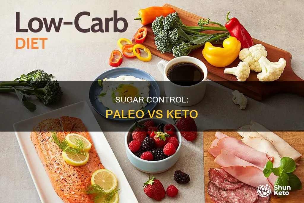 which uses less sugar between paleo and keto