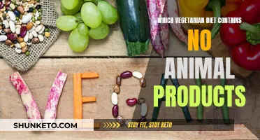 Vegan Diets: Animal-Free Eating and Vegetarianism Explored