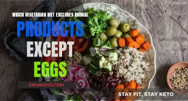 Embracing an Egg-Centric Vegetarian Diet: Exploring the Options