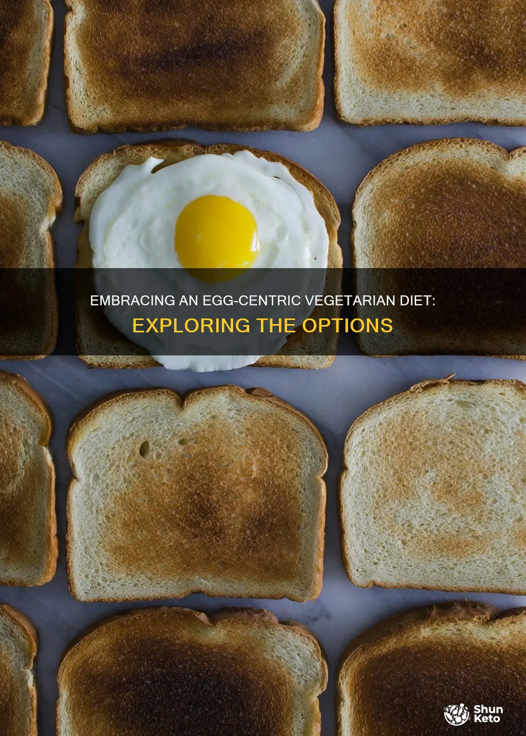 which vegetarian diet excludes animal products except eggs