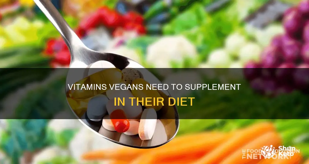 which vitamins need to be supplemented on a vegan diet