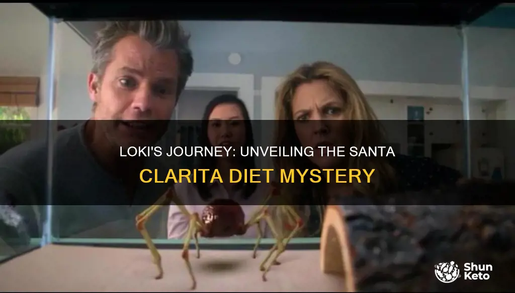 who is loki santa clarita diet