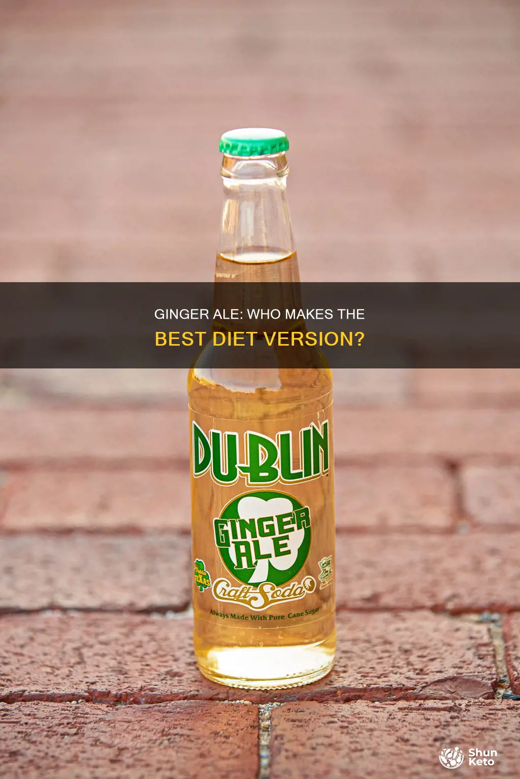 who makes diet ginger ale