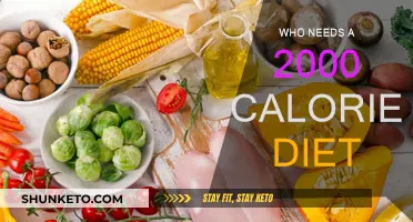 Calorie Counting: Who Needs a 2,000-Calorie Diet?