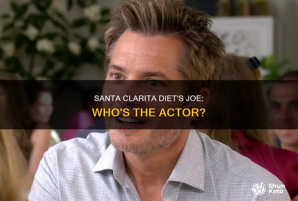 who plays joe on the santa clarita diet