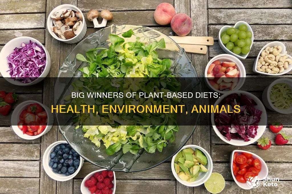 who profits from plant based diet