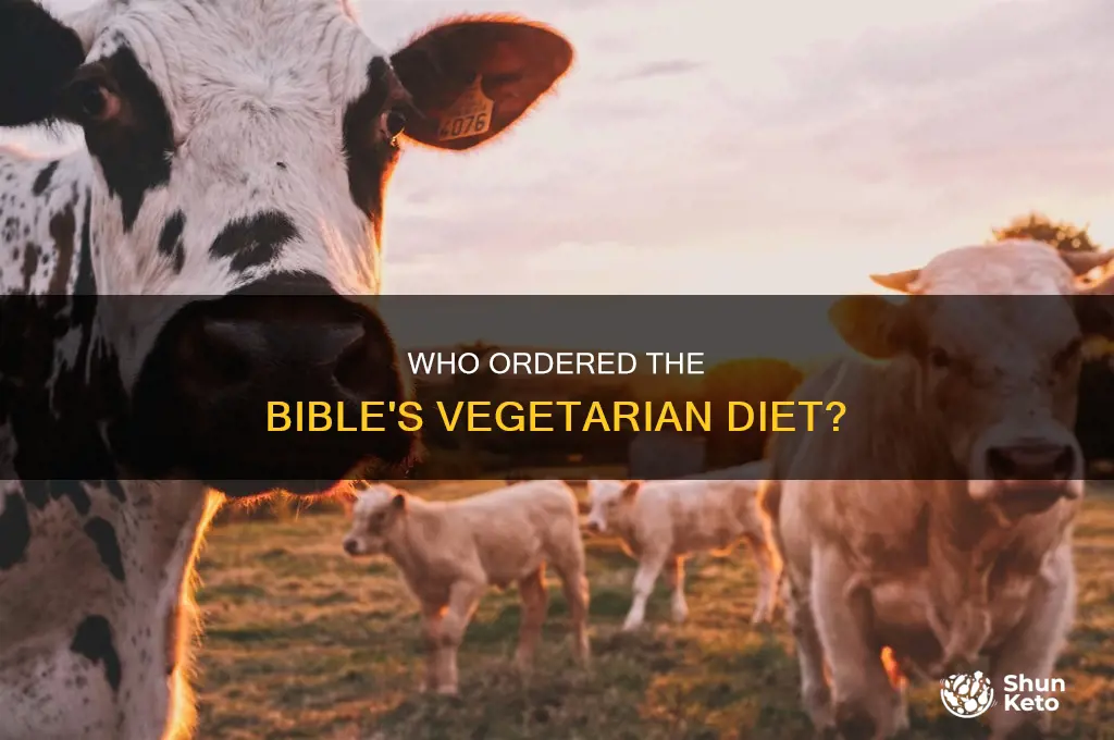 who requested the vegetarian diet in the bible