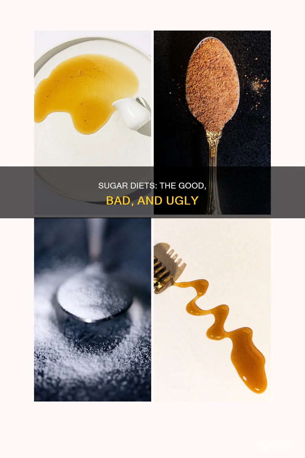 who writes about sugar diets