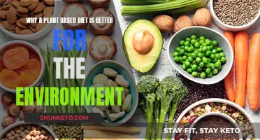 Plant-Based Diets: Saving the Planet, One Bite at a Time