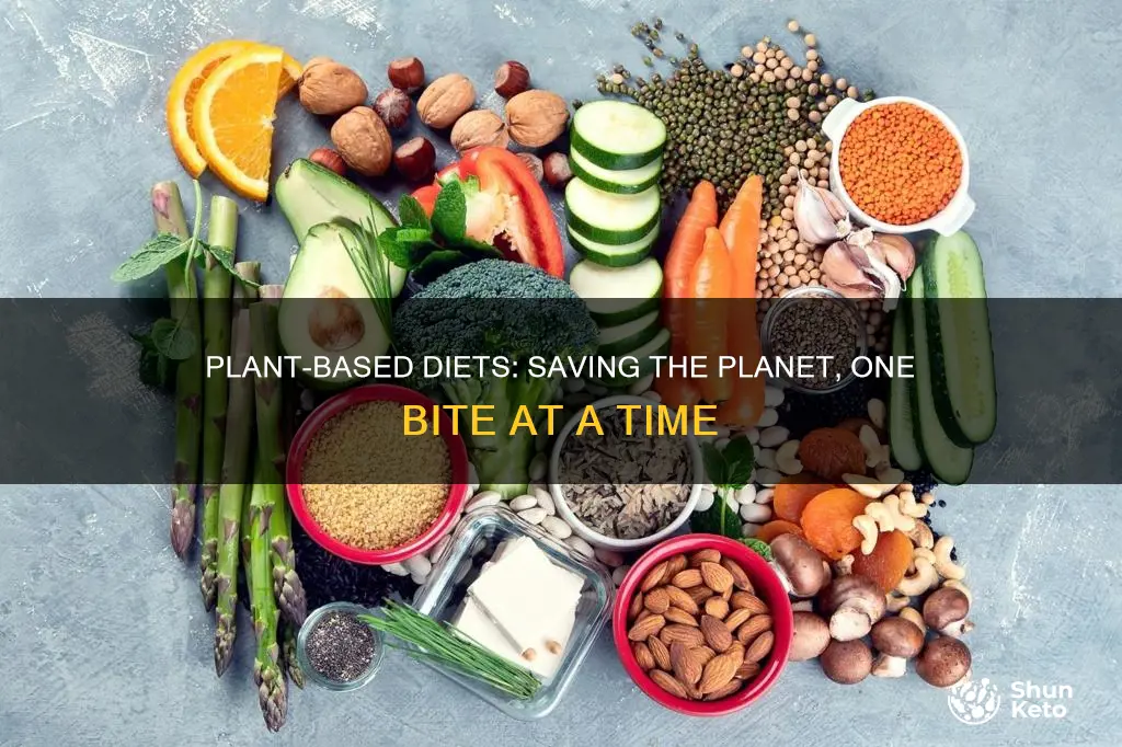 why a plant based diet is better for the environment