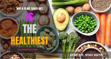 Plant-Based Diets: Healthiest Choice for Your Body