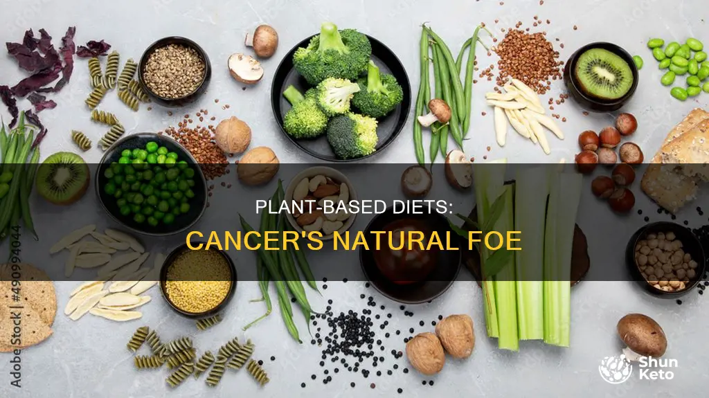 why a plant based diet keeps cancer at bay