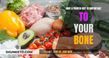 Nutrition's Impact on Bone Health: A Dietary Guide