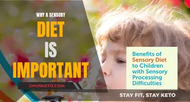 Sensory Diet: Essential for Calming and Focusing