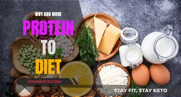 Protein Power: Why You Need More in Your Diet
