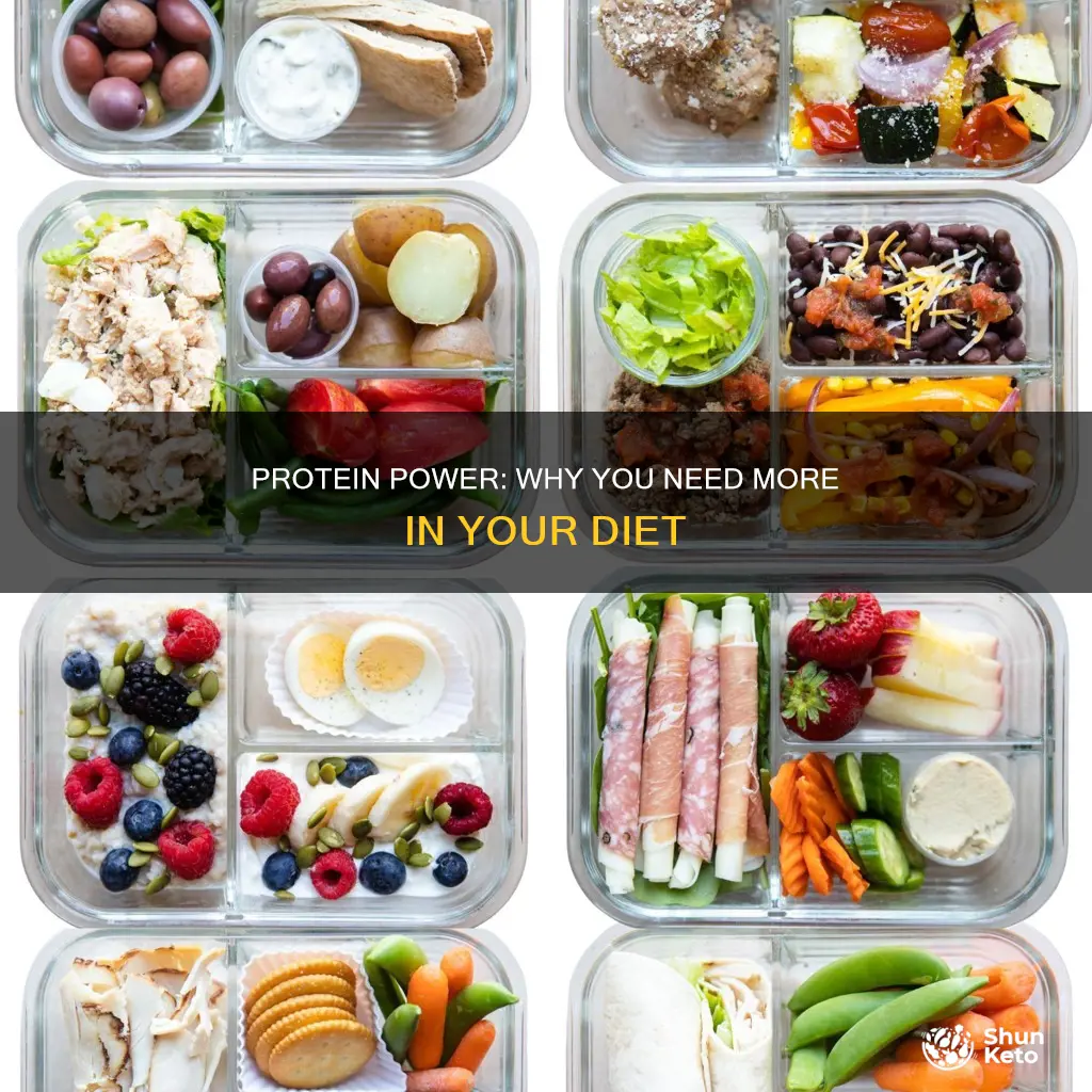 why add more protein to diet