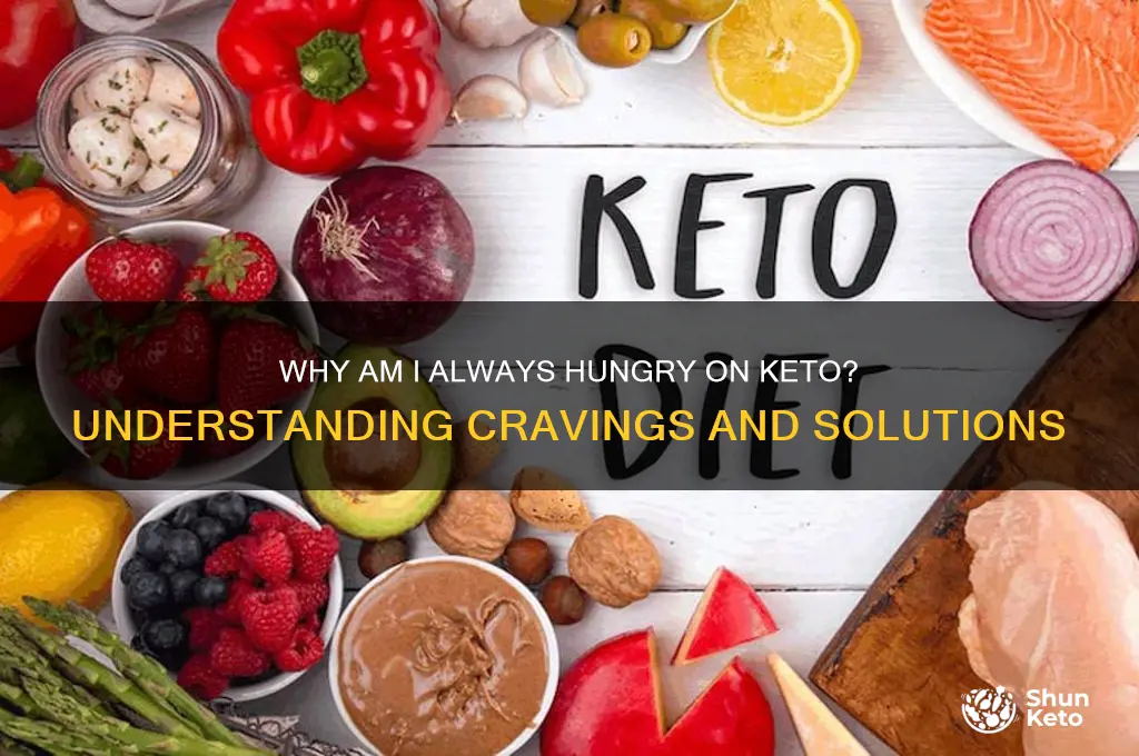 why always hungry on keto diet