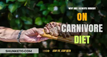 Carnivore Diet: Constant Hunger, Why?